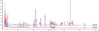 The protective effect of Buzhong Yiqi decoction on ischemic stroke mice and the mechanism of gut microbiota